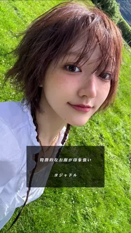 みんな覚えやすい顔立ちだよね👸🏻💗#個人的意見 #ヨジャドル #kpop #おすすめ #TWICE #njz #nmixx #itzy #ive #izna #gidle #lesserafim #billlie #redvelvet #blackpink #kiiikiii #ハウム #ジユ #kissoflife #シユン #illit #babymonster #kep1er #ジヒョ #チェヨン #ヘイン #ダニエル #リリー #ベイ #イェジ #マイ #ジョンウン #ソヨン #ユンジン #スルギ #ロゼ #ジュリー #ベル #ウォンヒ #ユナ #ファリタ #チキータ #バヒエ 