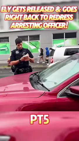 #cops #audit #copsoftiktok #auditing #policeofficer 