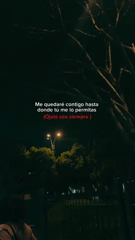 💕#dedicar #fyppppp #mylove #amor #fypシ゚ #foryoupage #viral_video #loveyou #paratí #loveyou 