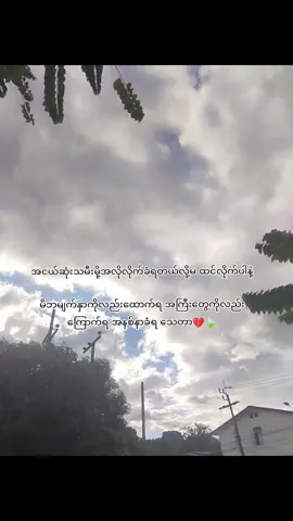 ငါအငယ်မို့မှားမှားမှန်မှန်ငါ့မှားတယ်🍃မင်းတို့အကြီးတွေမို့အမြဲမှန်တယ်🤲#fypシ 