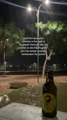 Respondendo a @Luena Brito  #fyp #bolsonaro #stf #direita #politica #lula 