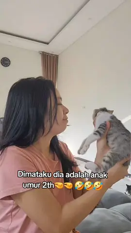 cuuuuuu😌😌😌 #foryou #cat #persian #pets #fypシ゚ #kucing #kucing #quotes #kucinglucu 