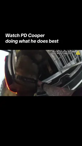 Watch as PD Cooper (and his bestie PC Norfolk) sprang into action to arrest three teens following reports of a motorcycle theft at Canvey Heights Country Park on 23 March.  All three teens have been released on bail while equiries continue.  #police #policedogs #essexpolice #policechase #policing #policework 