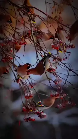 ليلة ٱخر جمعة من رمضان  ‏اللَّهُمَّ أَنْزِلْ سَكِيْنَةً عَلَى قُلُوبِ ٱلْفَاقِدِيْنَ، و فكَّ أسْرَ المأسُورين وَٱرفَعِ ٱلْكَربَ عَنِ ٱلْمَكْرُوبِيْنَ، وَٱشْفِ مَرْضَى ٱلْمُسْلِمِيْنَ، وَكُنْ لِلْمُسْتَضْعَفِيْنَ عَونًا ونَصِيْرًا ،