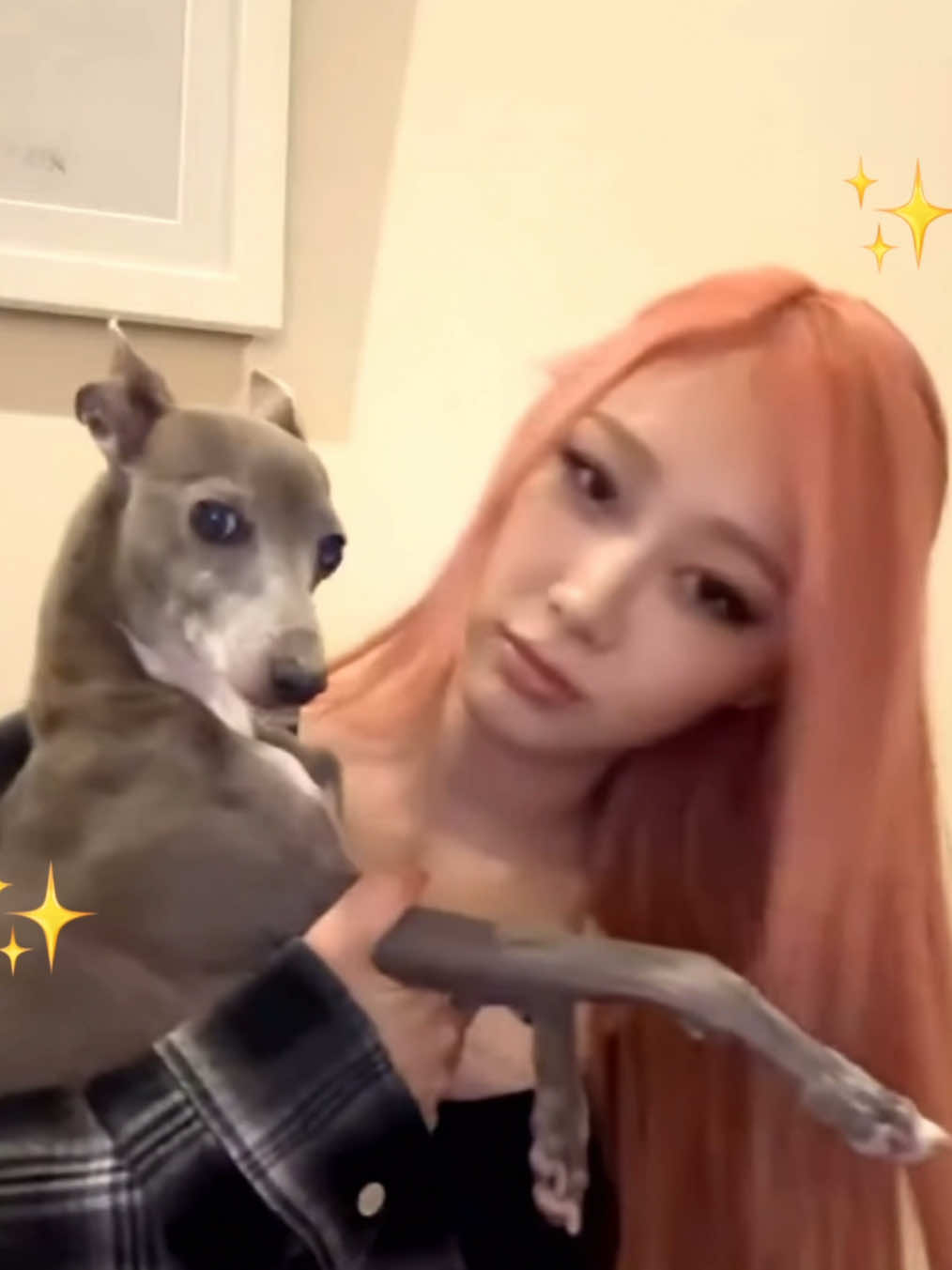 today i offer u silly clips of gigi. tomorrow? who knows #giselle #aespa #dog #funny #animals #aeriuchinaga #winter #karina #winter #fyp #xyzcba #foryoupage #kpop #edit #capcut #explore #viral 