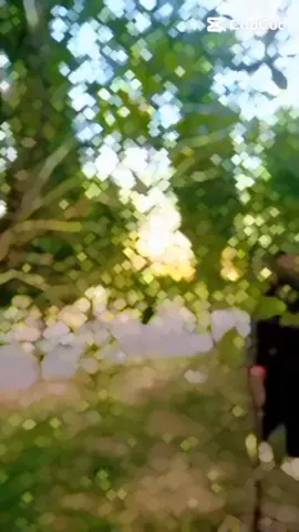 ##foryoupageofficiall ##unfreezed_my_id_tiktok ##✌️🥰✌️🥰🥰✌️💥 ##😘♥️😍🥰🥰😏😊💕🤔♥️ ###foryoupageofficiall #unfreezed_my_tiktok_id_plz🙏😢 