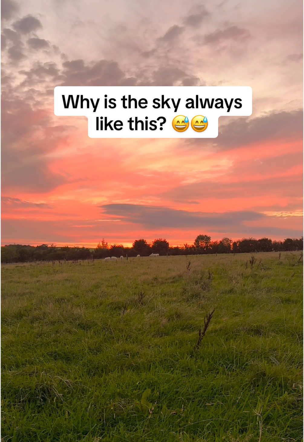 Why is it always like this? 😂😭 Follow @adventuresofalicee for more hiking and outdoor travels in the UK and beyond! 💚 ——— #sunset #hikingproblems #Hiking #outdoorlover #ukhikers #ukhiking #uktravelblogger #funnytravel 