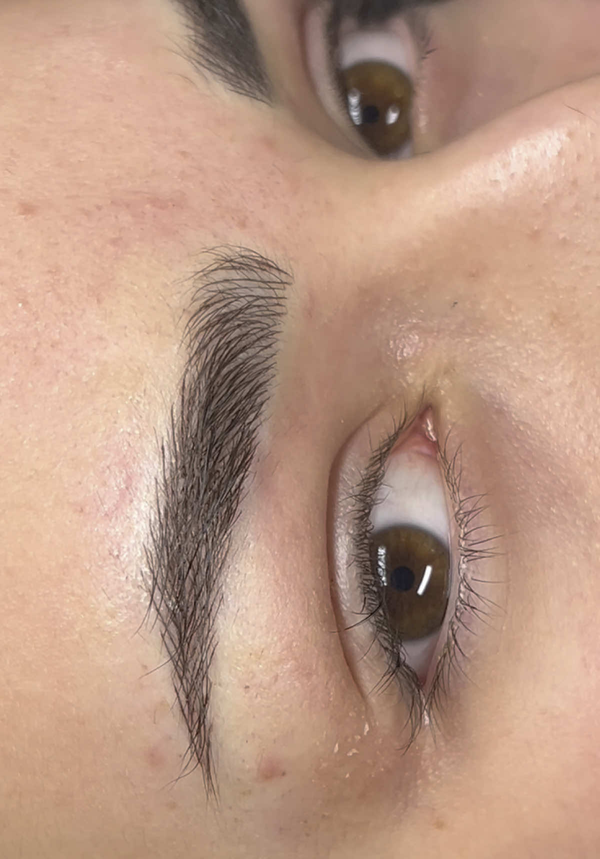 #brows #microblading #dubaibeauty #eyebrowsdubai #sopracciglia #fyp #viral #sopraccigliaperfette #happyclient #milano #browtech 
