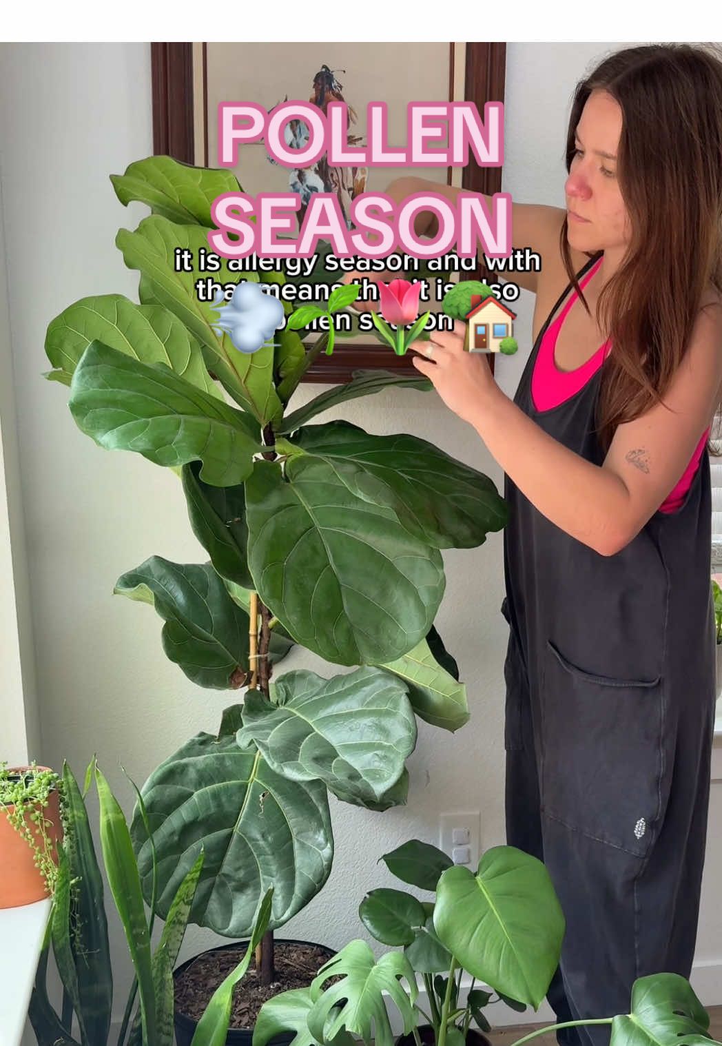 @Filterbuy INC helping make my home’s air cleaner💨🌱🌷 . . . #plantmom #gardentok #gardening #springtime #pollen 
