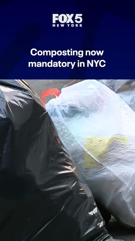 Starting April 1, the New York City Department of Sanitation will begin issuing fines to property owners who fail to comply with the city's new mandatory composting law. The program, which has been phased in since 2022, applies citywide and targets buildings of all sizes. FOX 5 heads to Forest Hills to see how enforcement will work, the size of the fines, and how residents are reacting. #nyc #composting #foresthills #garbage