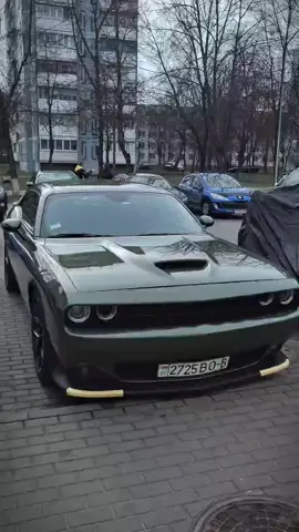 Dodge Chalenger❤️‍🔥 #BOBR_CARS #bobruisk #car❤️‍🔥 
