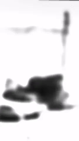 #هاشتاجاكثرمشاهدات 