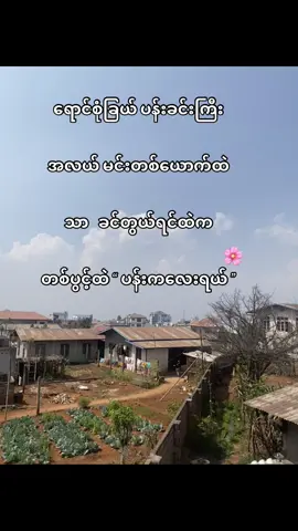 တပွင့်ထဲပန်းကလေးရယ်🌺#fyppppppppppppppppppppppp #foryou #tiktok #foryoupage #forpage #fyp 