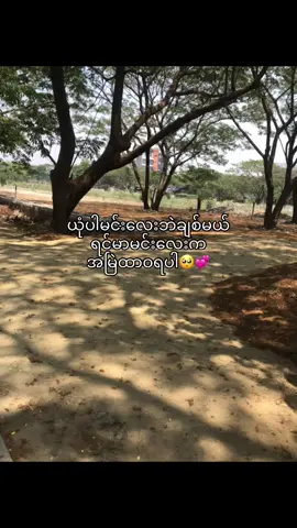 အမြဲတမ်းဘဲမင်း🥺🫶💞