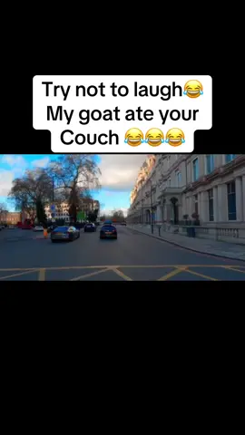 My goat ate your couch 😂 #funnycall #goat #construction #worker 