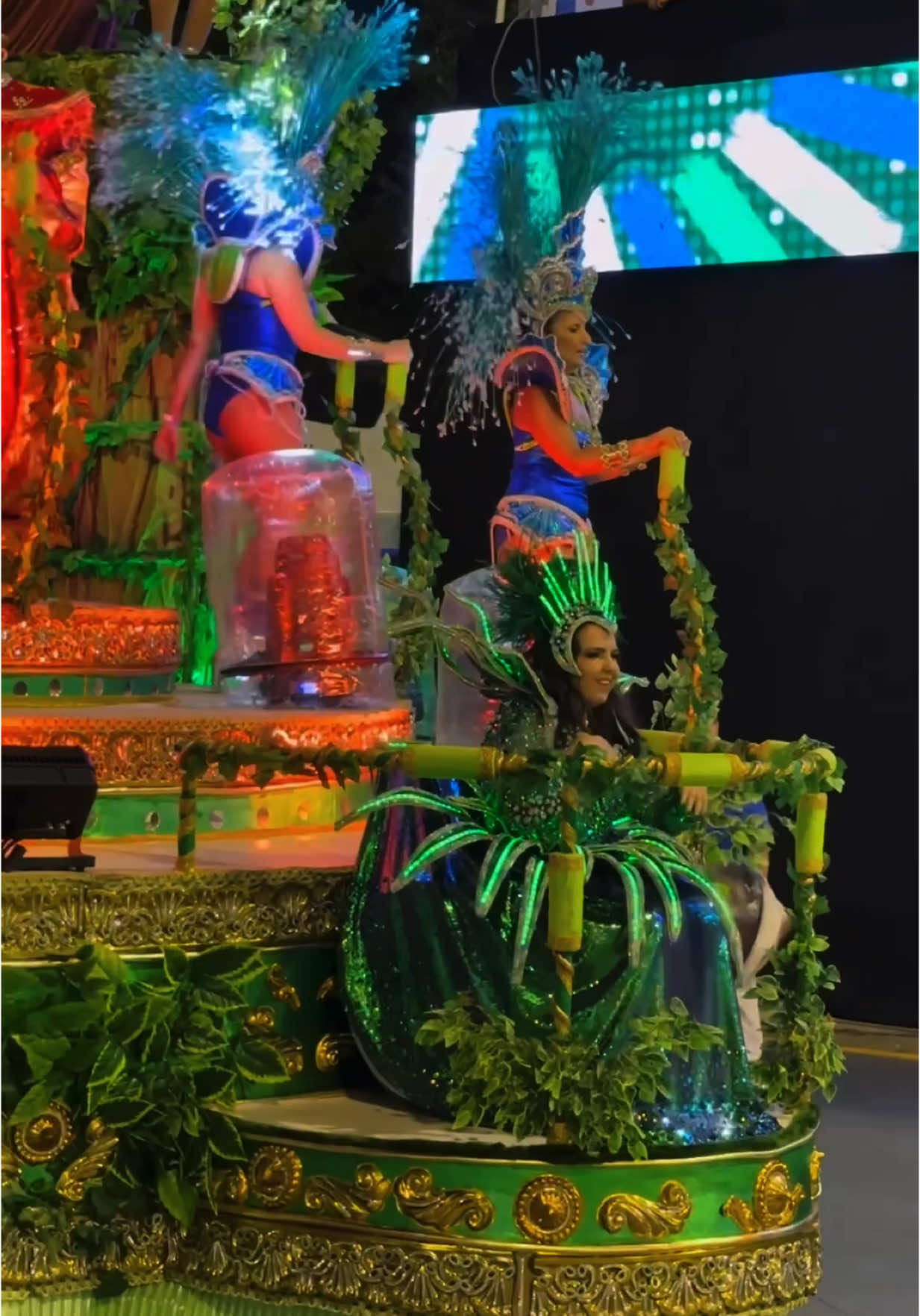 Vila Maria Desfile Oficial 2025 Carnaval de São Paulo, Grupo de Acesso 1 