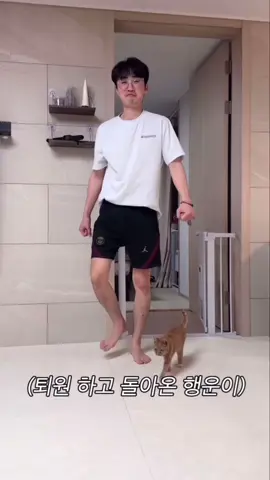 우리 행운이 #코숏 #아기고양이 #고양이입양 #임보중#fyp  