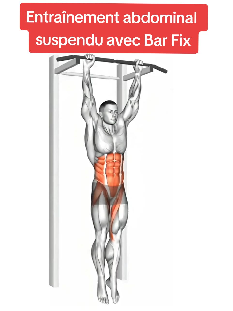 Entraînement abdominal suspendu avec Bar Fix 3 séries x 12 répétitions #bar-fi#exerciseathome #musculation #WorkoutRoutines #exercisesfitness #workout #abdominales 