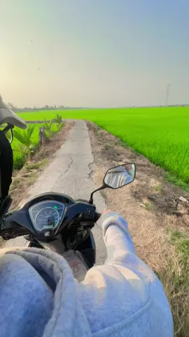 Đường  này đi nhậu bao trốn CA 😆😆 #cầnthơ #xuhuong 