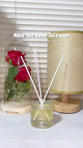 Alba sol reed diffueser varian citrus wanginya enak banget, bikin kamar/rumah wangi terus seharian🥰🥰 #reeddiffuser #pengharumruangan #albasolreeddiffuser #ohsome 