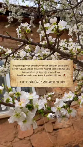 AREFE GÜNÜMÜZ MÜBAREK OLSUN 🥀🕊️ #arefegünümüzmübarekolsun #bayramgeliyor#fyp #viral #keşfett 