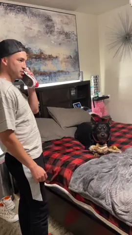 Dog is afraid of doctor #dog #pet #animals #usa🇺🇸 #foyou 