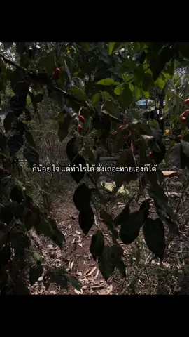งอนด้วยเผื่อมาเห็น🙂