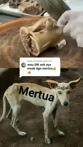 Membalas @yank.rere#daginglampir #chinesefood 