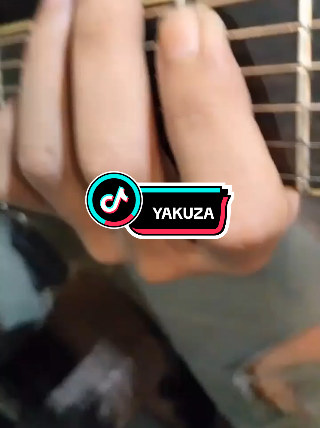 genjeeeeeehhhhh☹️ #suzuran #yakuza_cars #fyp #memestiktok #trending 