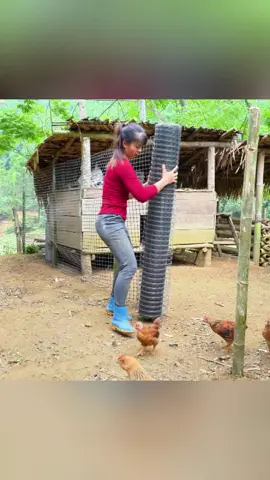 #mybushcraft #farmlife #garden #farm #Outdoors #chicken