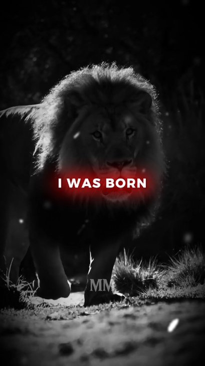 I was born into life of struggle... . #motivation #usa #usa_tiktok #unfreezemyaccount #listentothiseveryday #growbeyoundyourlimits #yourblessingiscoming #quotesoftheday #fyp #motivationalquotes #inspirationalquotes #motivationalspeeches #bravemind #stoicism #mindset #quotes #inspiration #peakmotivation 