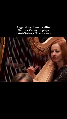 Goosebumps guaranteed 🦢#classicalmusic #orchestra #fyp #cello 