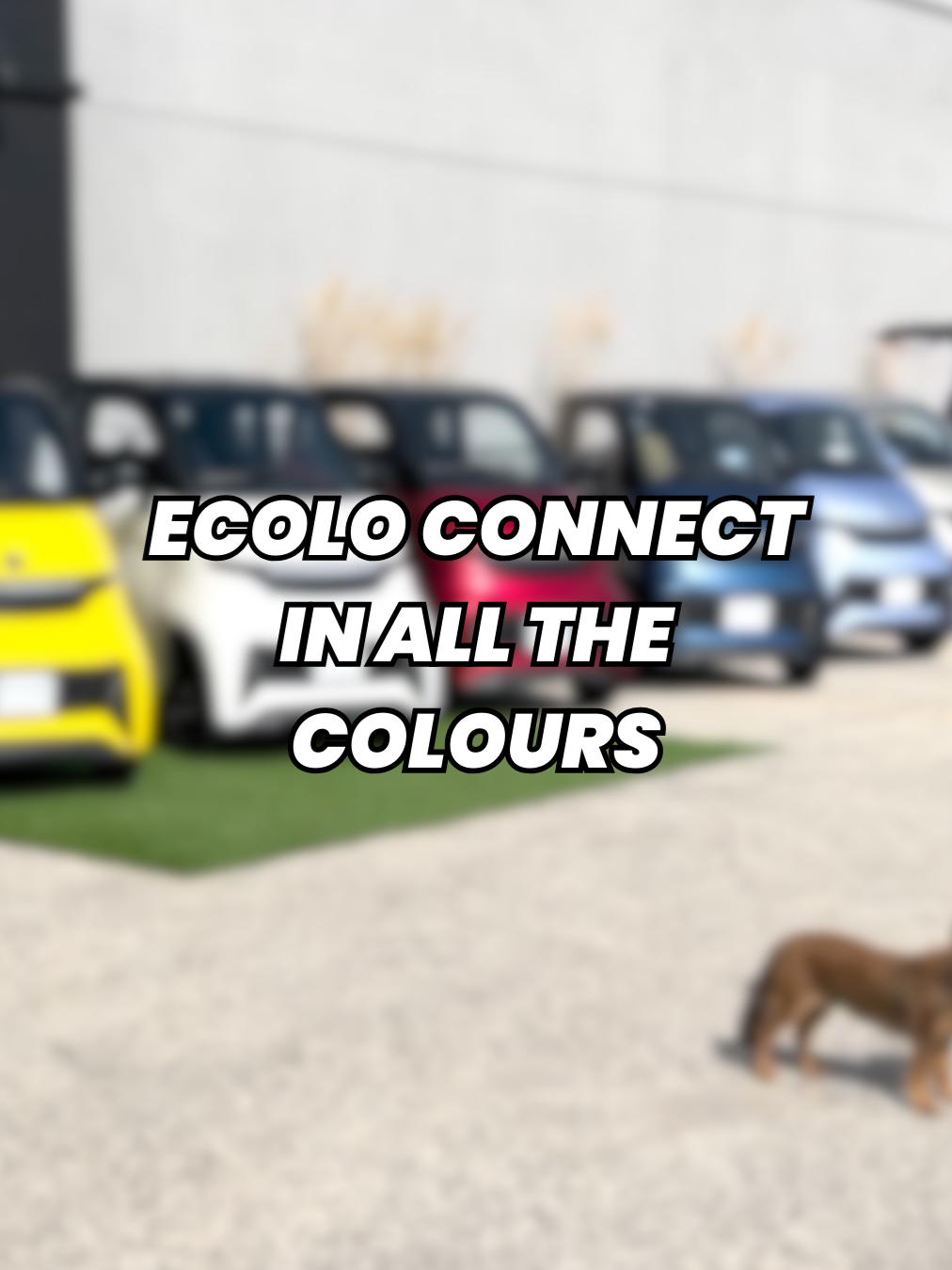 Which colour are you picking? #RidetheWindEbikes #Ebike #buycanadian #enclosedmobilityscooter #ecolo #connect #ecoloconnect #mobilitymatters #mobilityscooter #RideTheWind