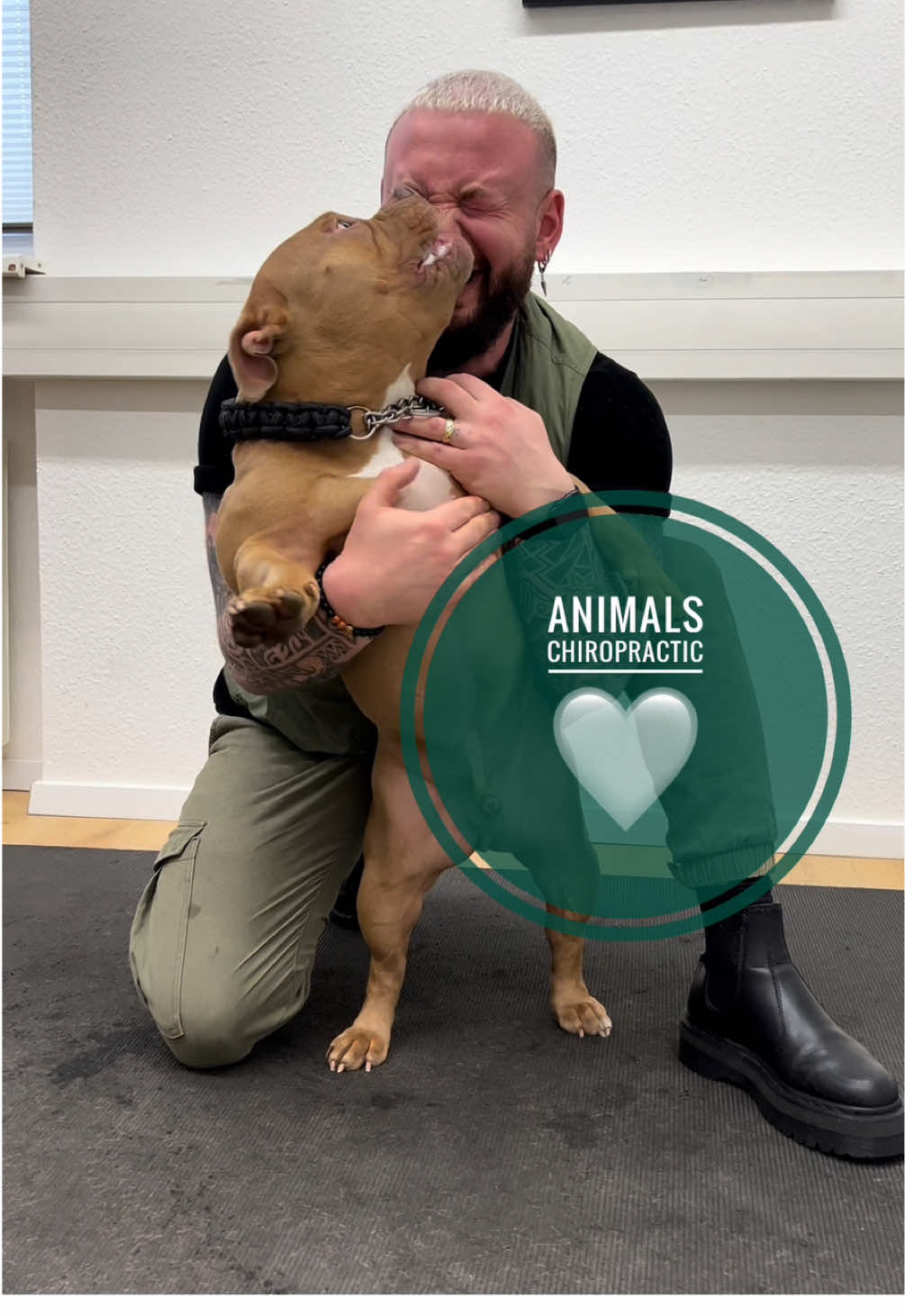 Dog with back pain 🥹🥹 • • • #foryou #asmr #animal #animals #chiropractortiktok #türkiye #chiropractic #hund #hundeauftiktok #tiere #Love 