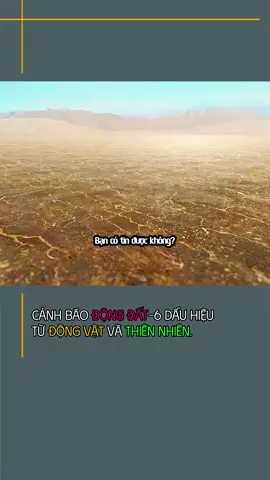 Cảnh Báo Động Đất-6 Dấu Hiệu Từ Động Vật Và Thiên Nhiên. #tintuc #kienthuc #dongdat #dongdatmyanmar #myanmar
