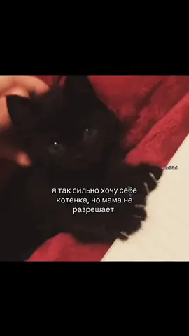#eeeli4el #рек #щп #рекомендации 