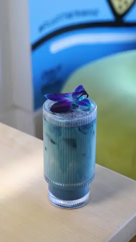It's time to move over traditional matcha 😂 Our Blue Matcha is here shake things up! 🍵💙⁠ ⁠ Caffeine-free, made from antioxidant-rich butterfly pea flower, and packed with health benefits. It’s smooth, vibrant, and ready to brighten your day! ☀️😊⁠ ⁠ Come sip on something new and refreshing! Would you try it? Let us know in the comments! ⬇️⁠ ⁠ 📍2065 NW 2nd Ave, Miami, FL⁠ 🍽️ Dine-in, Takeout, Online Ordering & Delivery Available!⁠ 👉🏽 https://tinyurl.com/yxzjv5jm⁠ ⁠ #FluffyFluffy #WynwoodEats #MiamiBrunch #MiamiFoodie