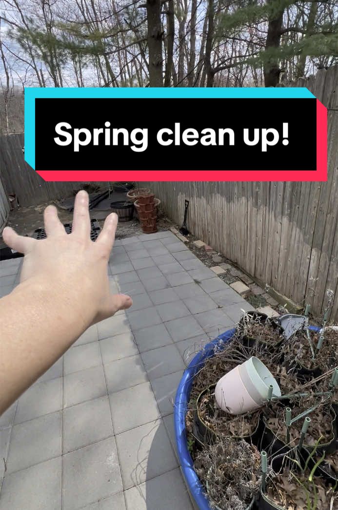 Spring clean up! Lets go! #spring #clean #garden #backyard #warm 