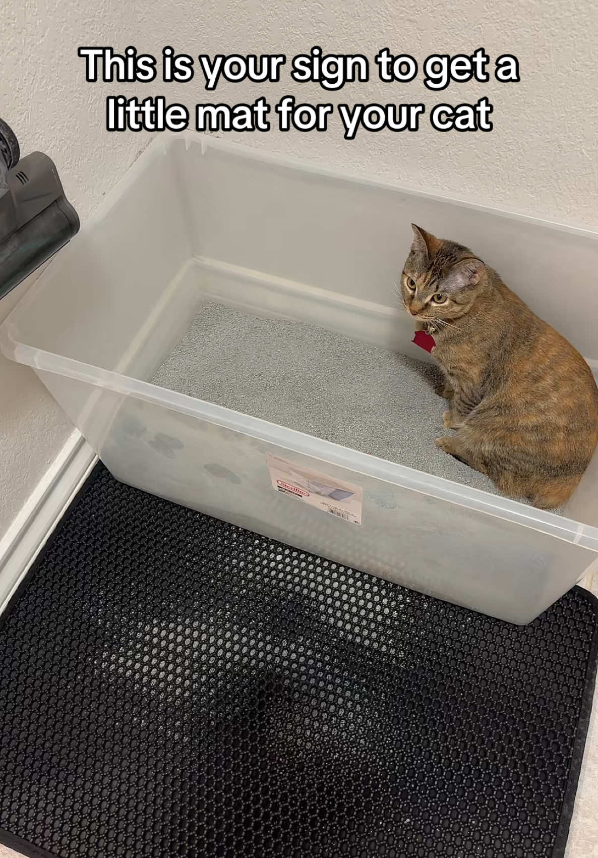 My floors have never been cleaner 😩🙌 #litterbox #catlitter #catlittermat #catlitterhacks #catlitter #cattok #kittentok #kittens #cats #catvideos #kittycat #kittycatsoftiktok #kittys #catlover #cattok  