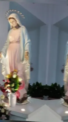 #tiktokchretien #catholic #gospel#🙏🏾🛐🤍✝️🕊 #