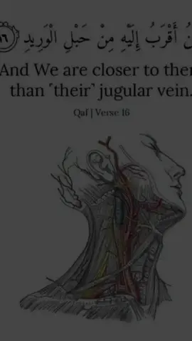 #CapCut  #subhanallah 