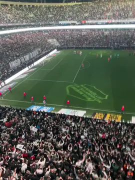 Namağlup tek ŞAMPİYON 🦅  . . .#1903 #besiktasjk #eaglesflyhigh #karakartal #fyp #kesfetteyiz #kesfet #sinanay #besiktas #gedsonfernandes #joaomario #namağlup #tek #şampiyon @Beşiktaş JK 