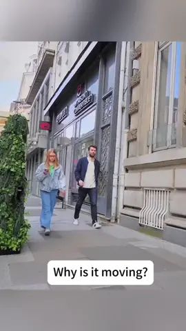 #bushman#bushmanprank#scarepran k#scared#prankbushman#funnyvideo #pranks#funny#jumpscare#funnypran ks#fun#funnymoments#scary#jumpyo #usa_tiktok  