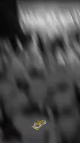 شتاكيتلك شوگ الثكاله 💔!!!#سيد_سلام_الحسيني 🩶