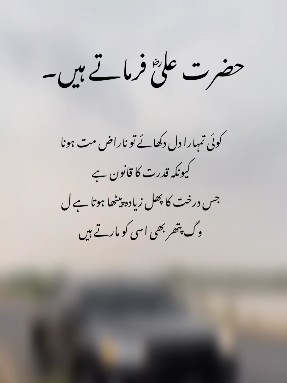 حضرت علیؓ فرماتے ہیں۔#fyp#fyc#fyp#viralvideo#100k#foryoupage#1millionaudition#trendingvideo#gullu_a5 