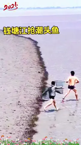 Watch them catch fish happily.#Small #DIY #tiktok #Catch #Popular 