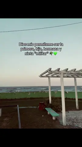 Un sueño por cumplir 💚 #paratii #videoviral #esfuerzo #egercitoargentino🇦🇷 #militar 