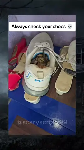 Always check your shoes 💀 #scary #creepy 