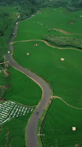 Keindahan dari sudut pandang yang berbeda🍃 📍Semingkir, Kalibening, Banjarnegara #fyp #fypage #cinematic #explore #footage #dji #wanayasa #djimini #djimavic #masukberanda #banjarnegara #pedesaan #desa #videography #jangkauanluas #pilotdrone #drone #viral #kalibening 
