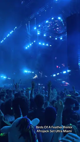 Billie Eilish Birds of a Feather Amél Remix Afrojack Set at Ultra Miami #billieeilish #afrojack #edm #miami 